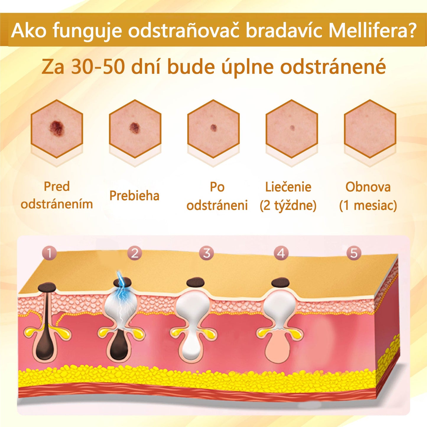 Regeneračný krém Croaie® Condense Mellifera Venom🔥